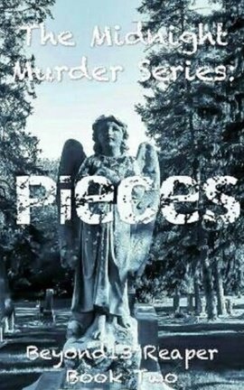 The Midnight Murder Series: Pieces