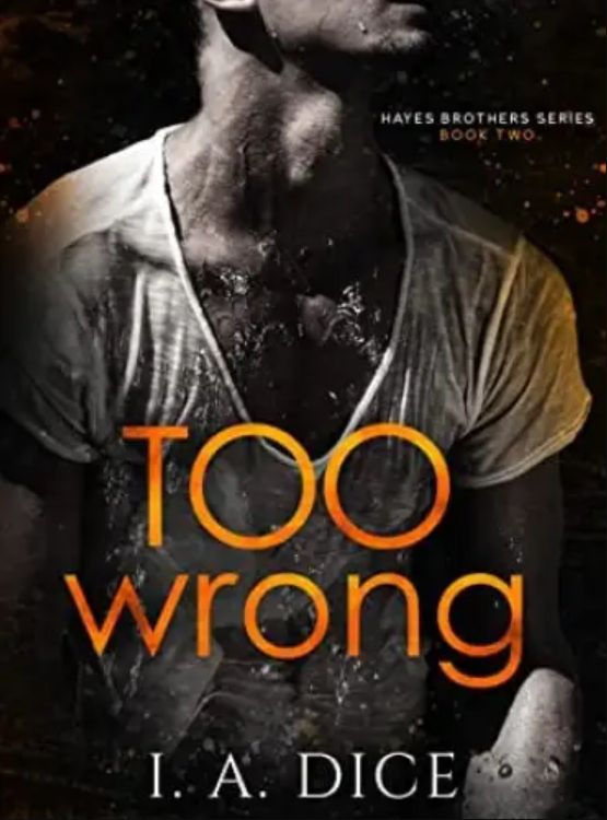 Too Wrong: Hayes Brothers Book 2