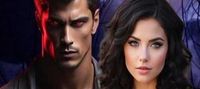 The Alpha’s Contract by Taylor West