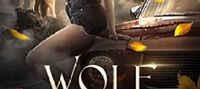 Wolf Marked (Magic Side: Wolf Bound Book 1)